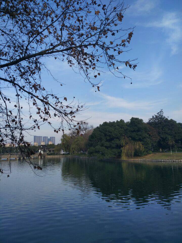 天井湖公园