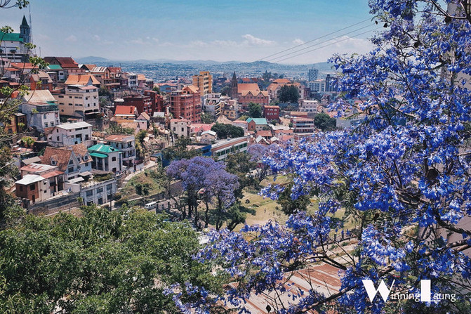 马达加斯加图片