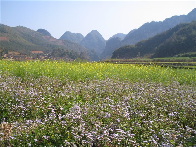 十万大山旅游景点攻略图