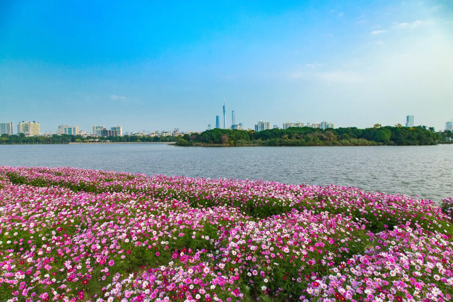 2020海珠湿地公园-旅游攻略-门票-地址-问答-游记点评，广州旅游旅游景点推荐-去哪儿攻略