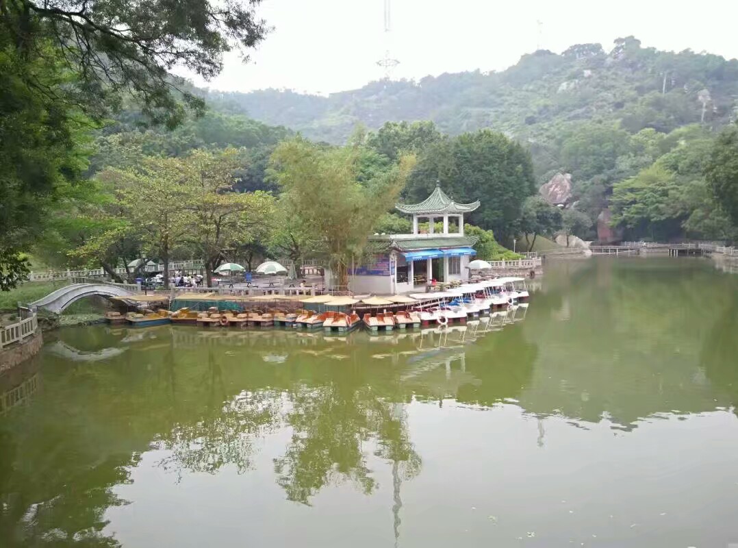 2019景山公园-旅游攻略-门票-地址-问答-游记点评,珠海旅游旅游景点