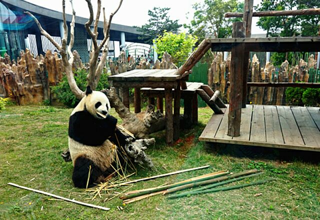 大连森林动物园