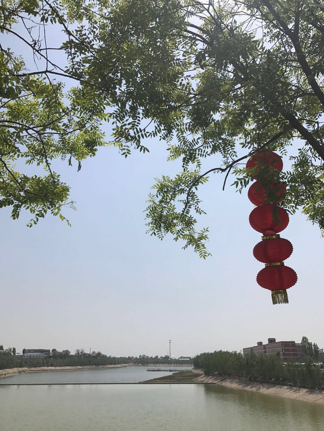 老小攻略乐游--五龙山野生动物园英国剑桥自由行全家图片