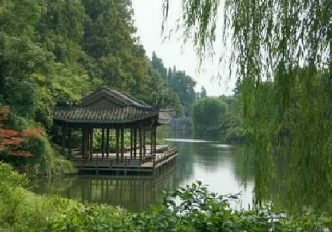 杨公堤
