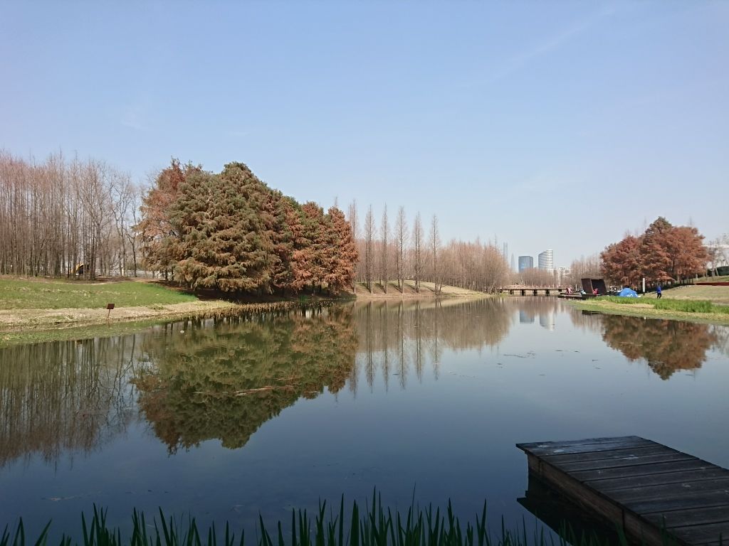 世博后滩湿地公园旅游景点攻略图
