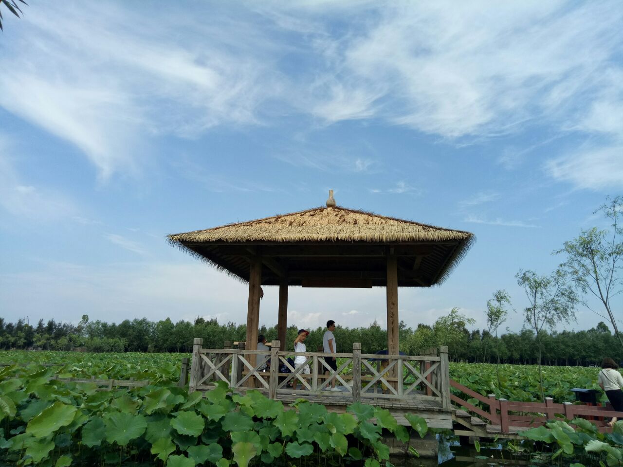 玉环漩门湾湿地公园