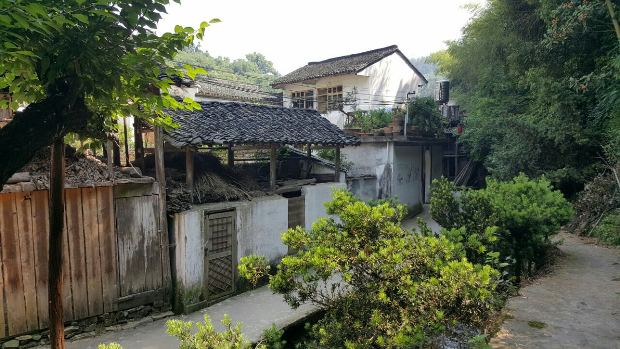 卖花渔村
