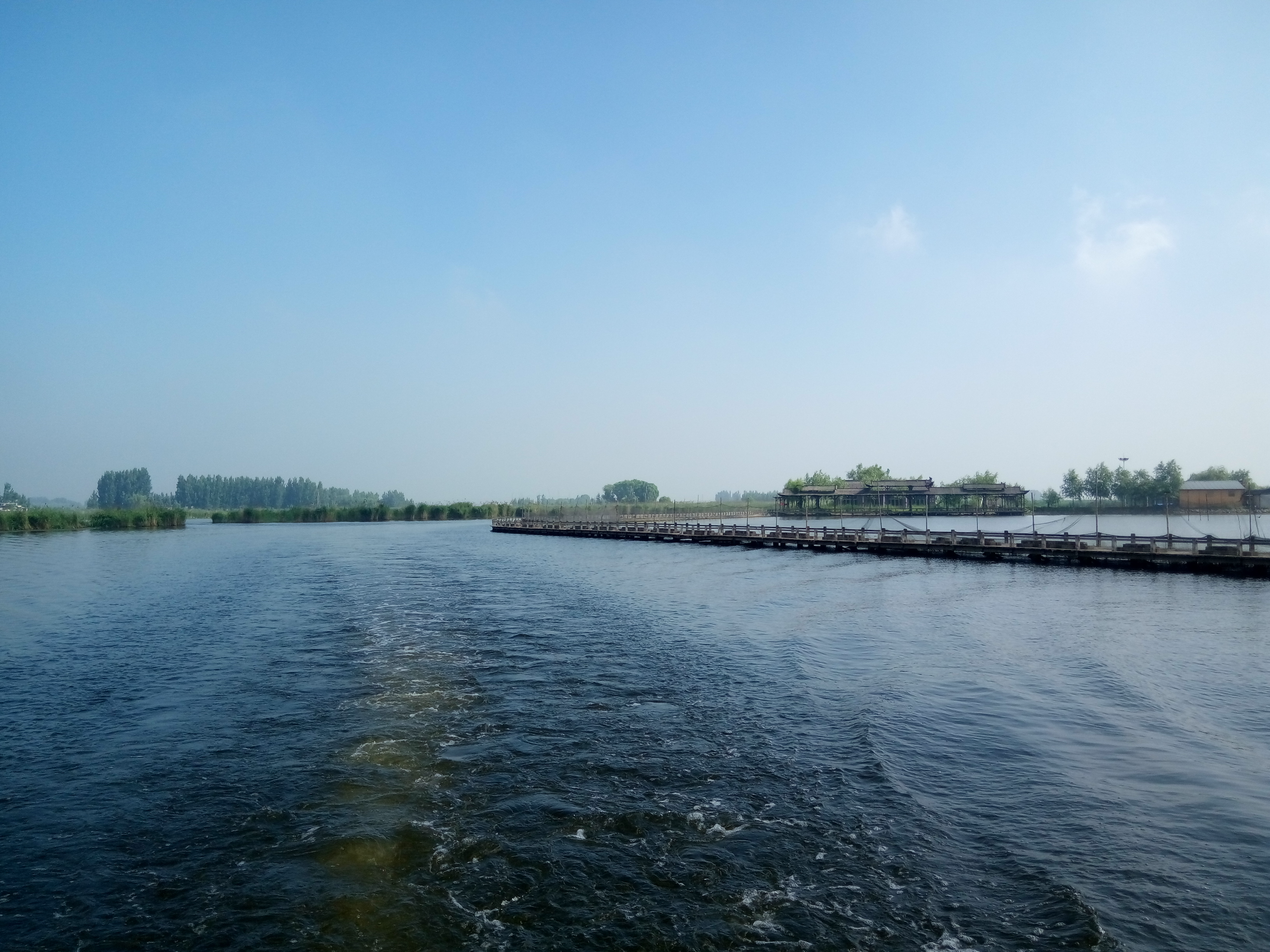 烧车淀(白洋淀湿地)