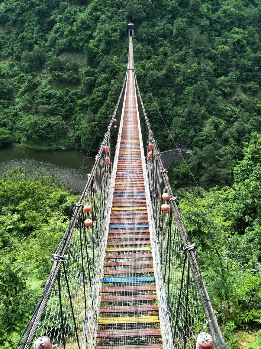 香榧森林公园