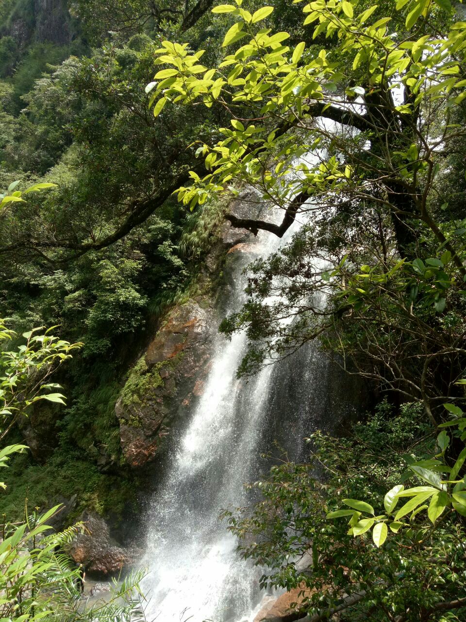 神龙谷旅游景点攻略图