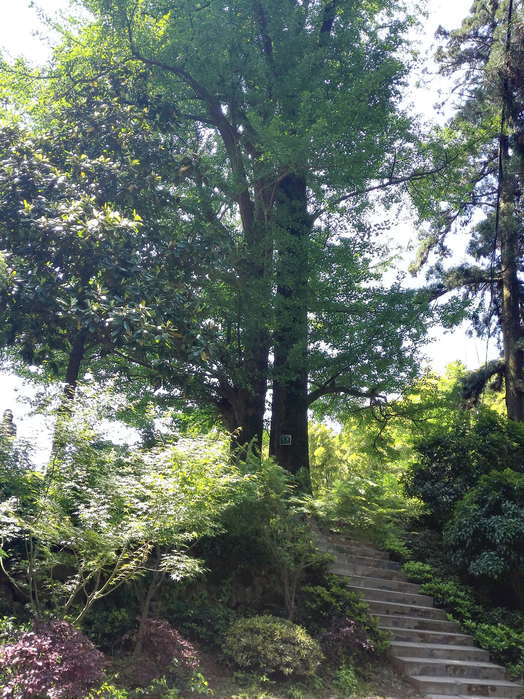 杭州江南第一寺径山寺游记