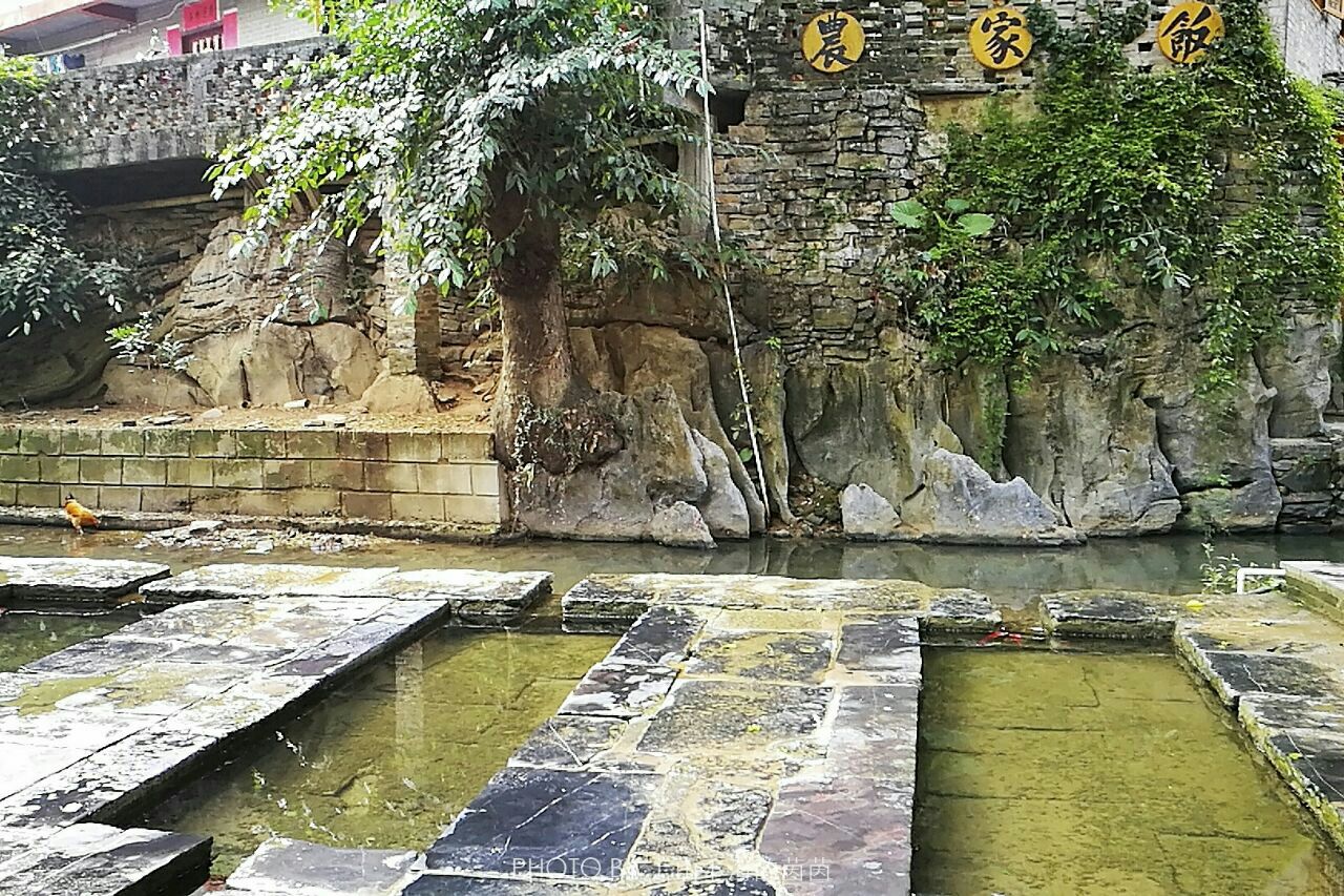2020仙人古井-旅游攻略-门票-地址-问答-游记点评,黄姚古镇旅游旅游
