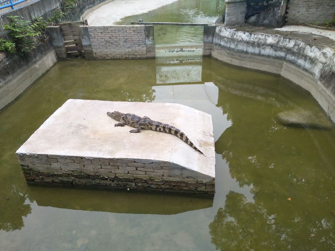 三峡森林野生动物世界