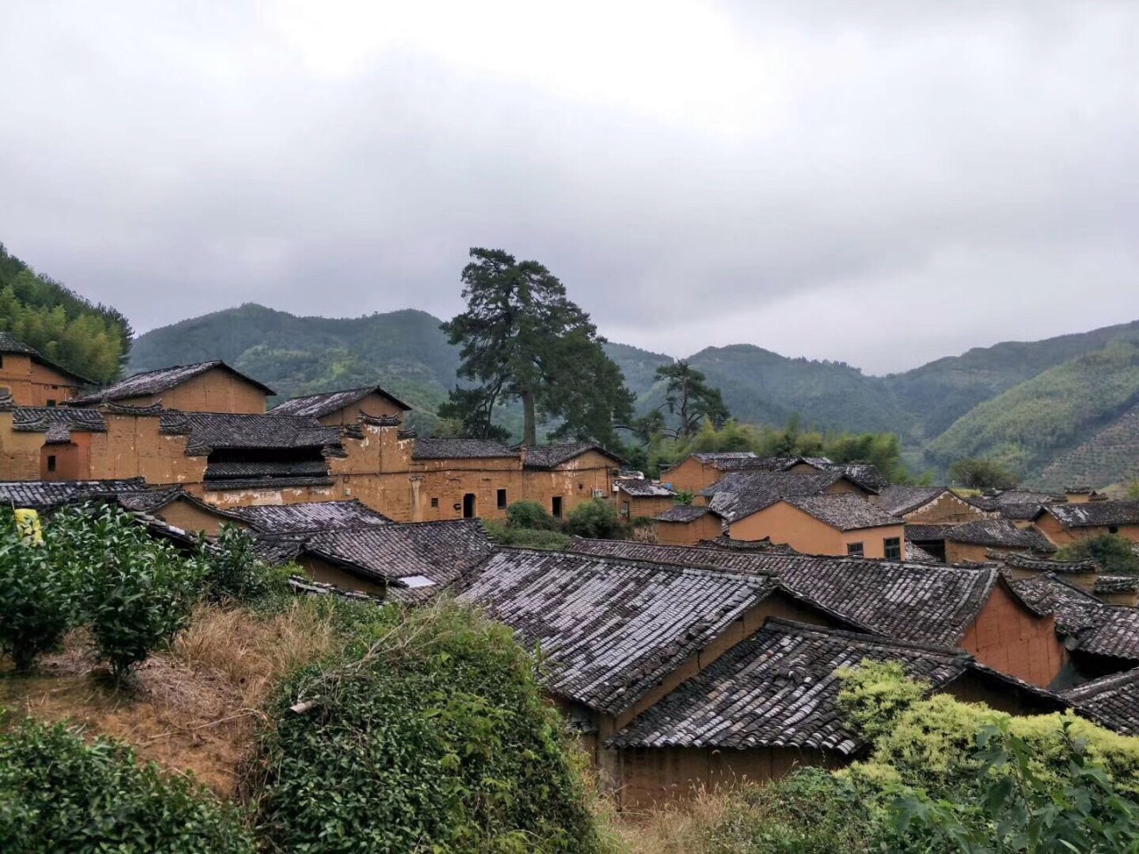 酉田村