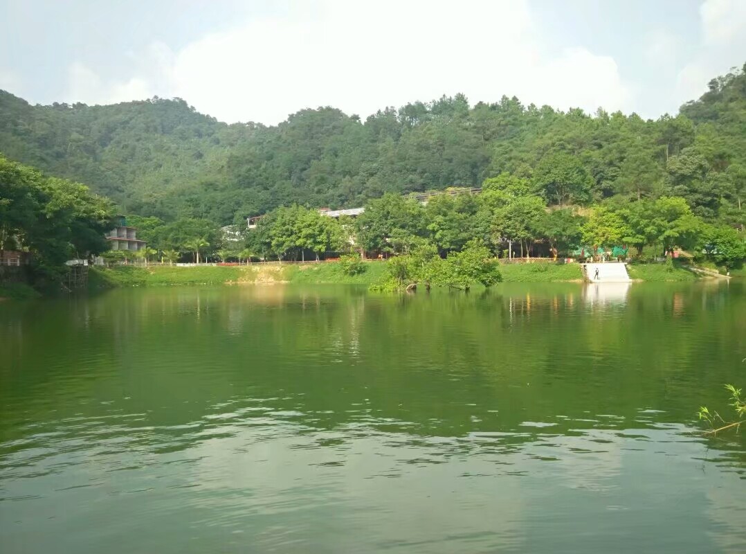 肇庆九龙湖好玩吗,肇庆九龙湖景点怎么样_点评_评价