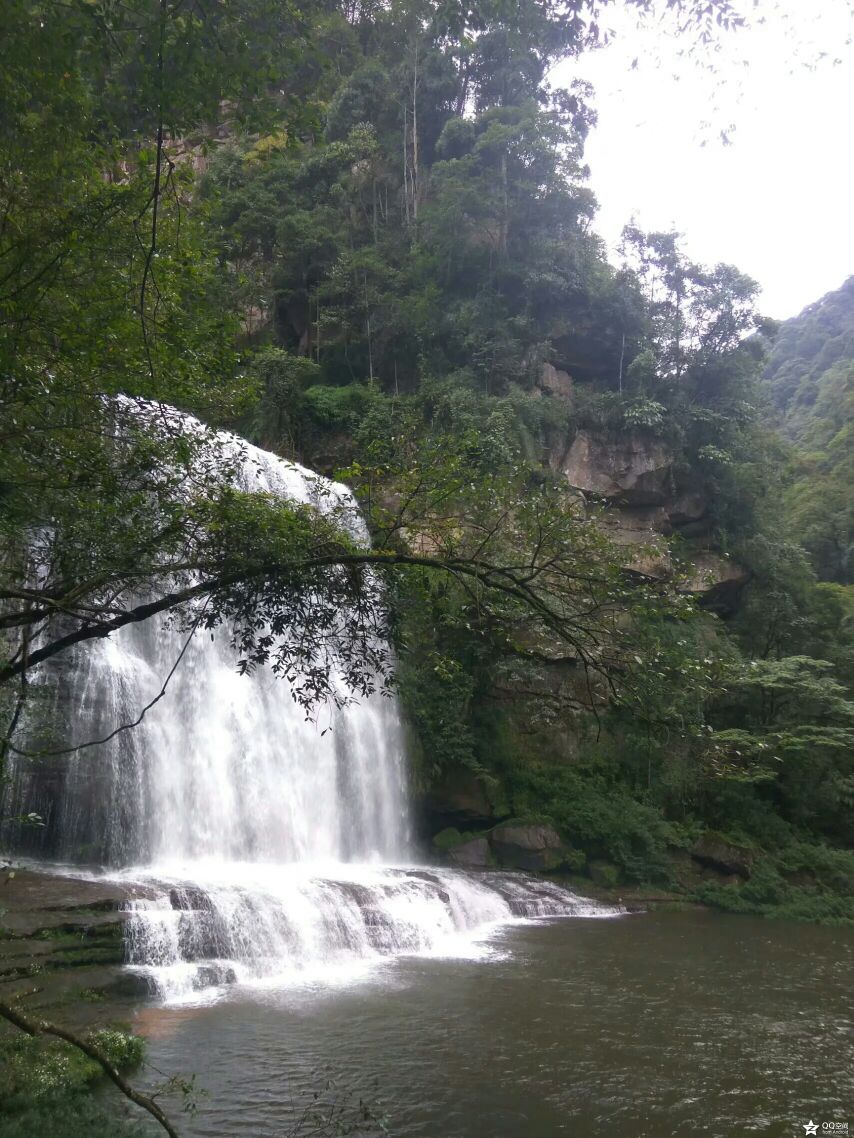 古蔺黄荆原始森林好玩吗,古蔺黄荆原始森林景点怎么样_点评_评价