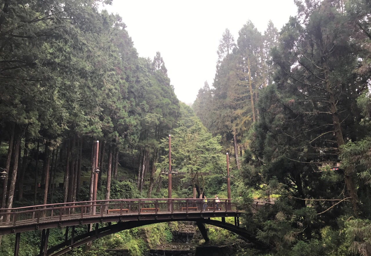 阿里山国家风景区旅游景点攻略图