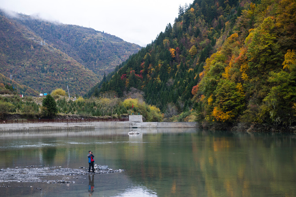 川西黑水县10月27-31日5日绝美彩林游