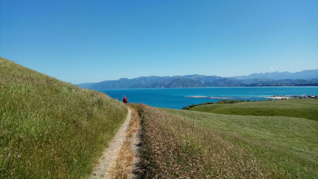 凯库拉半岛步道