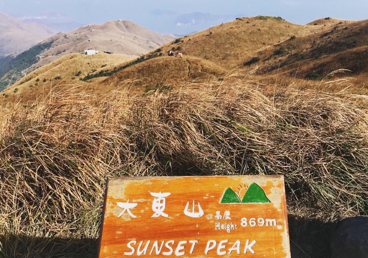 大东山是香港的第三高峰,大东山的秋日芒草,是大东山的标志