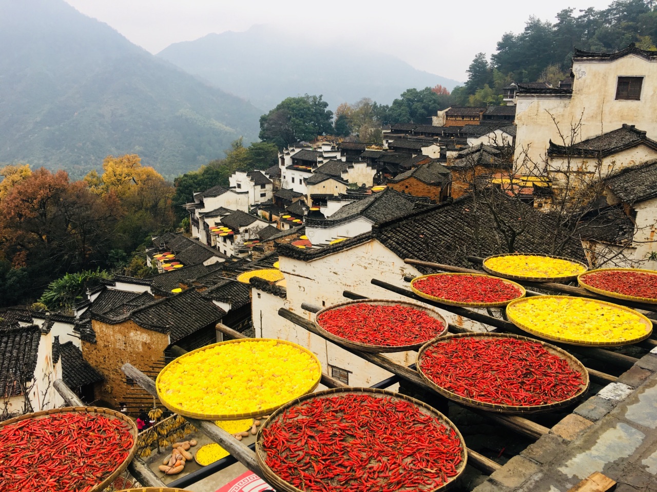 婺源篁岭