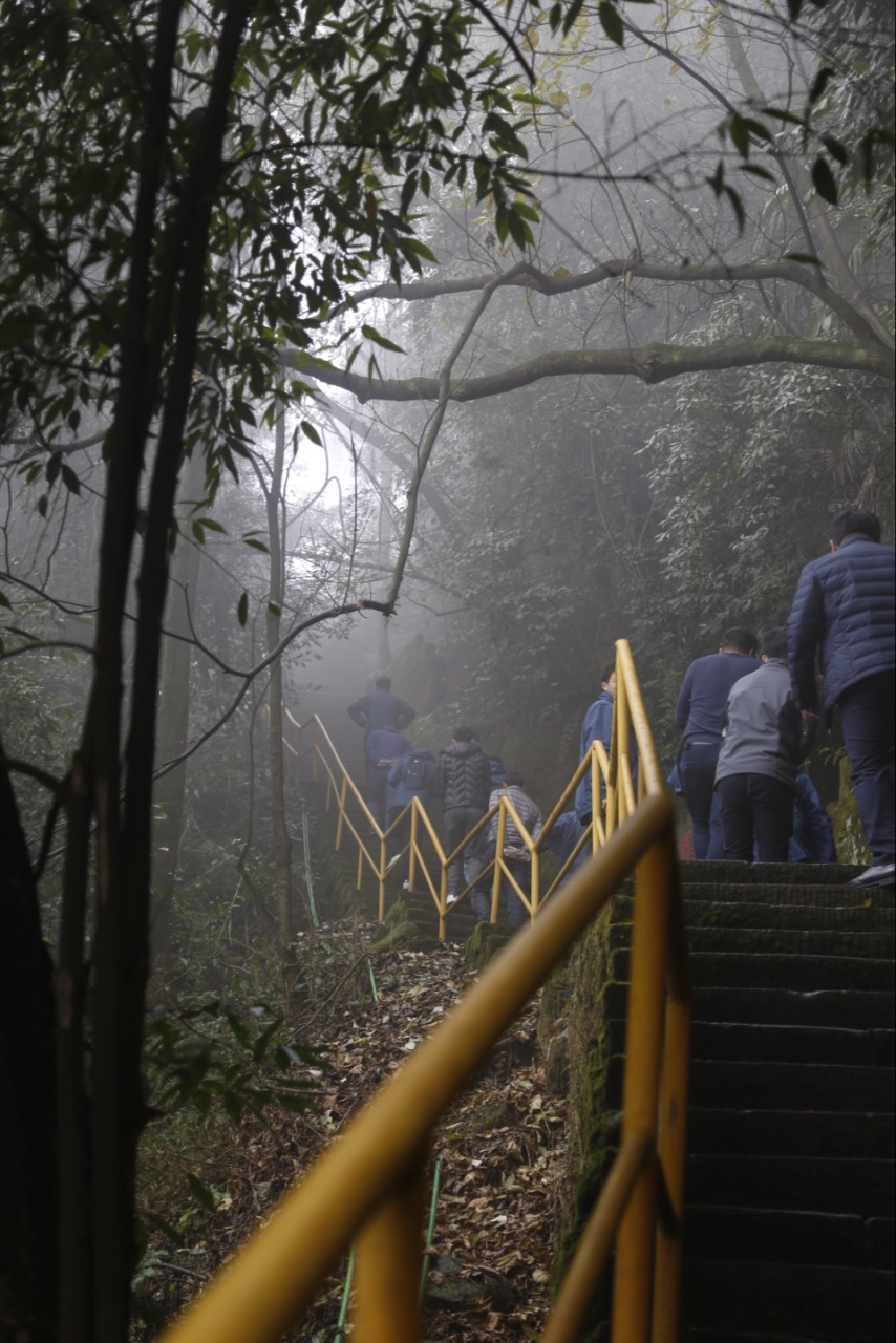 圣灯山森林公园