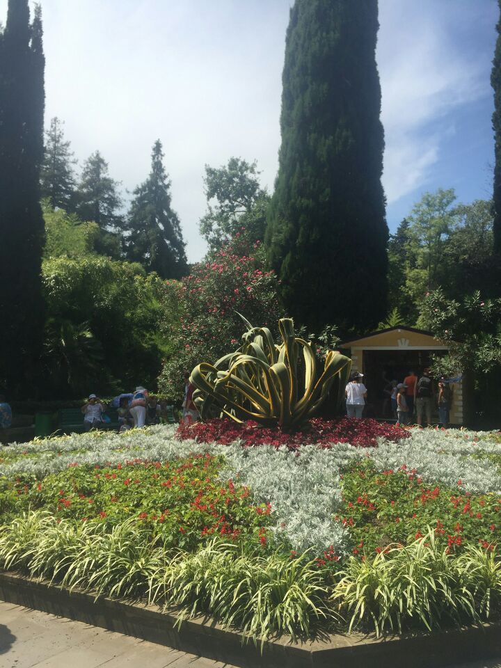 索契植物园旅游景点攻略图