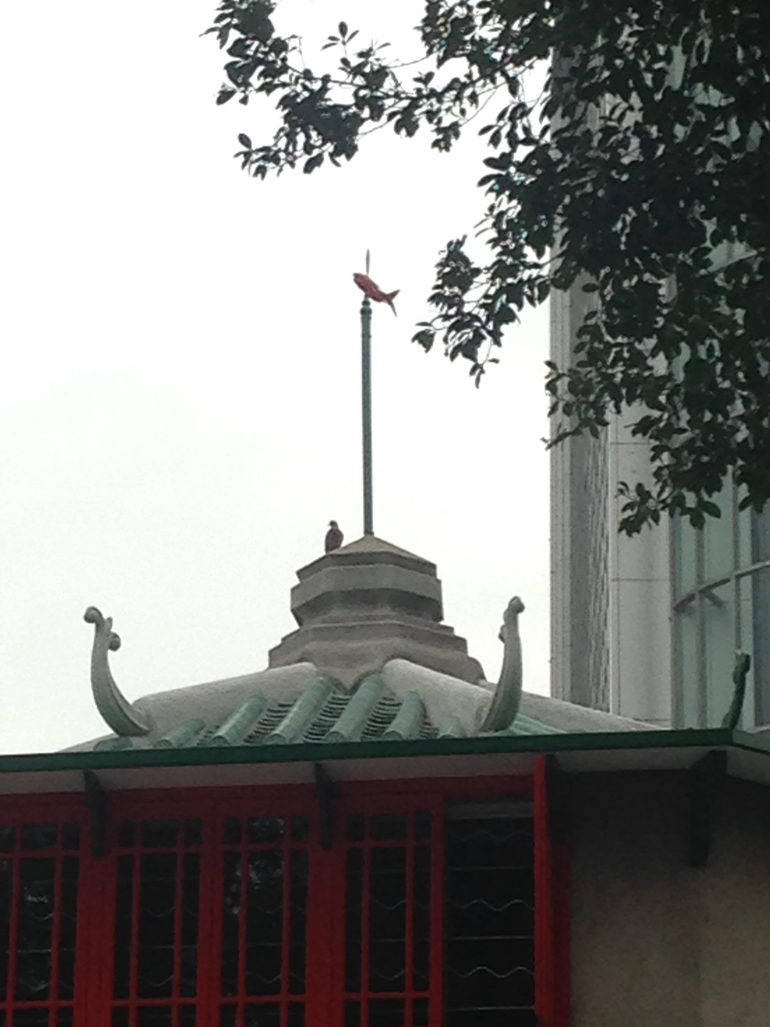 八角亭图书馆