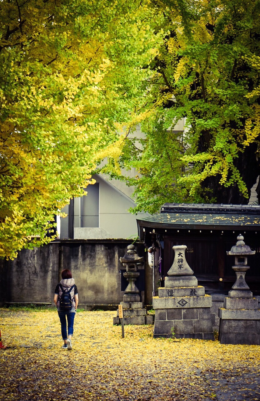 大将军神社