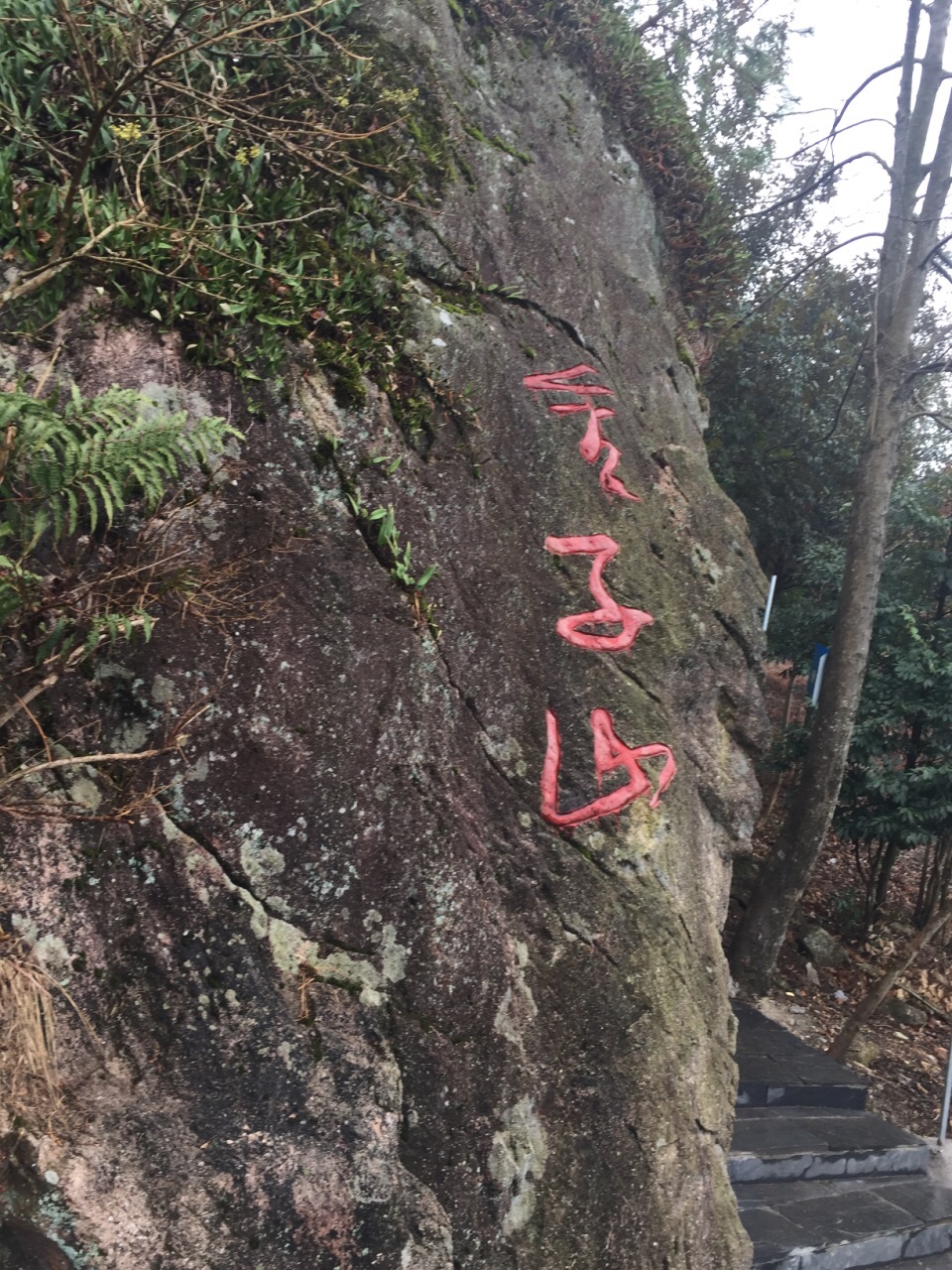 清远金子山原生态旅游风景区