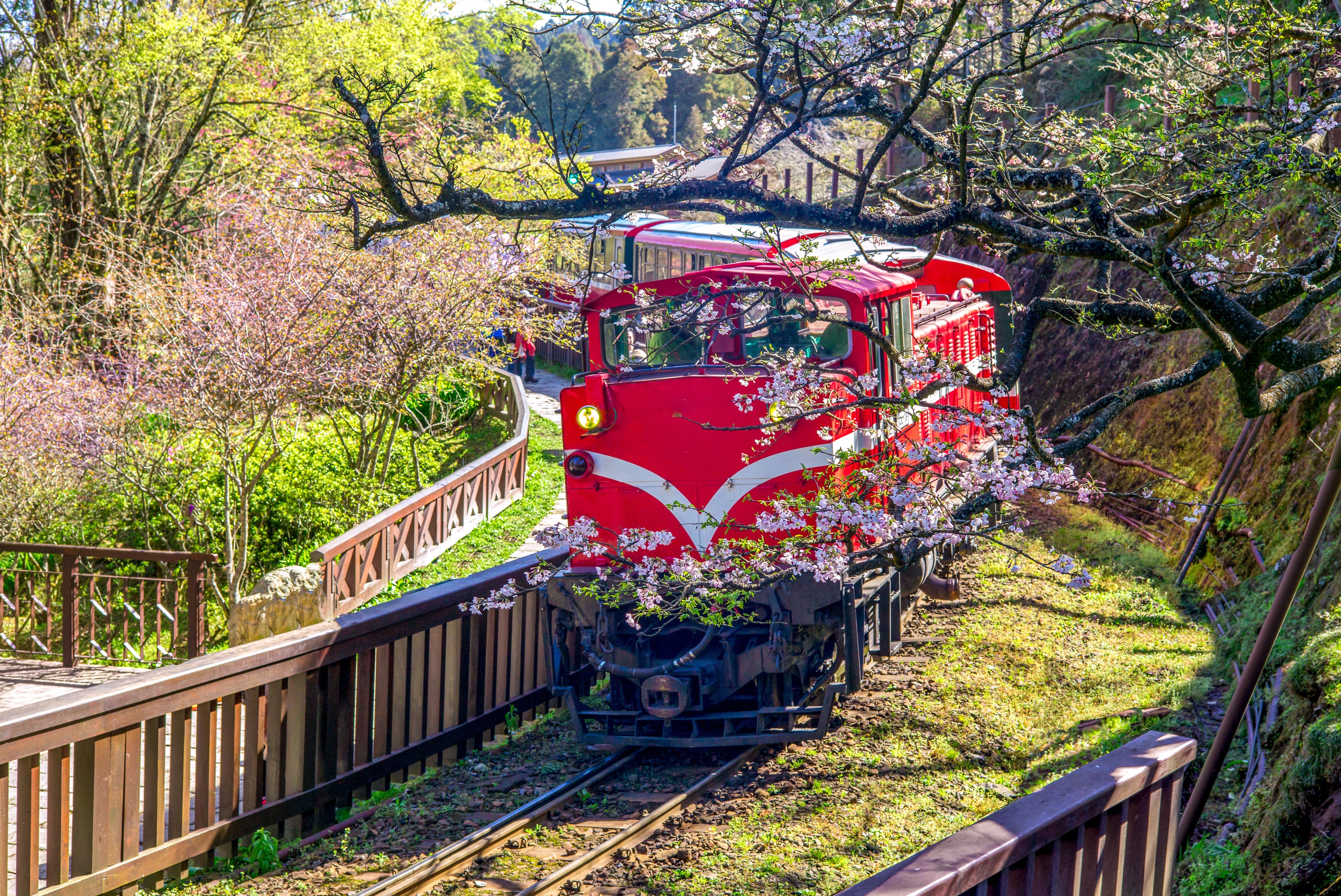 阿里山国家风景区