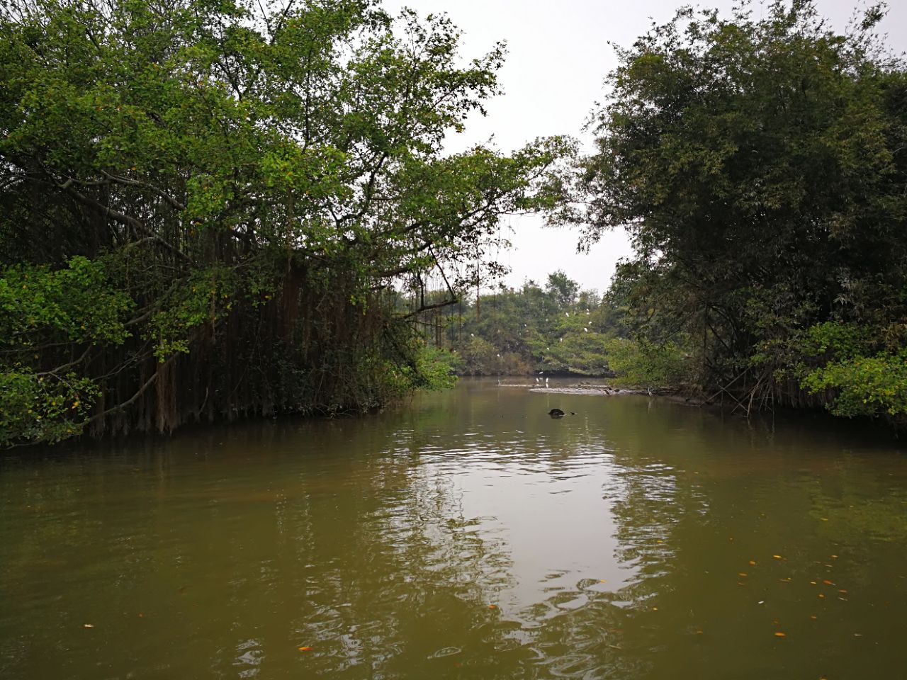 小鸟天堂旅游景点攻略图