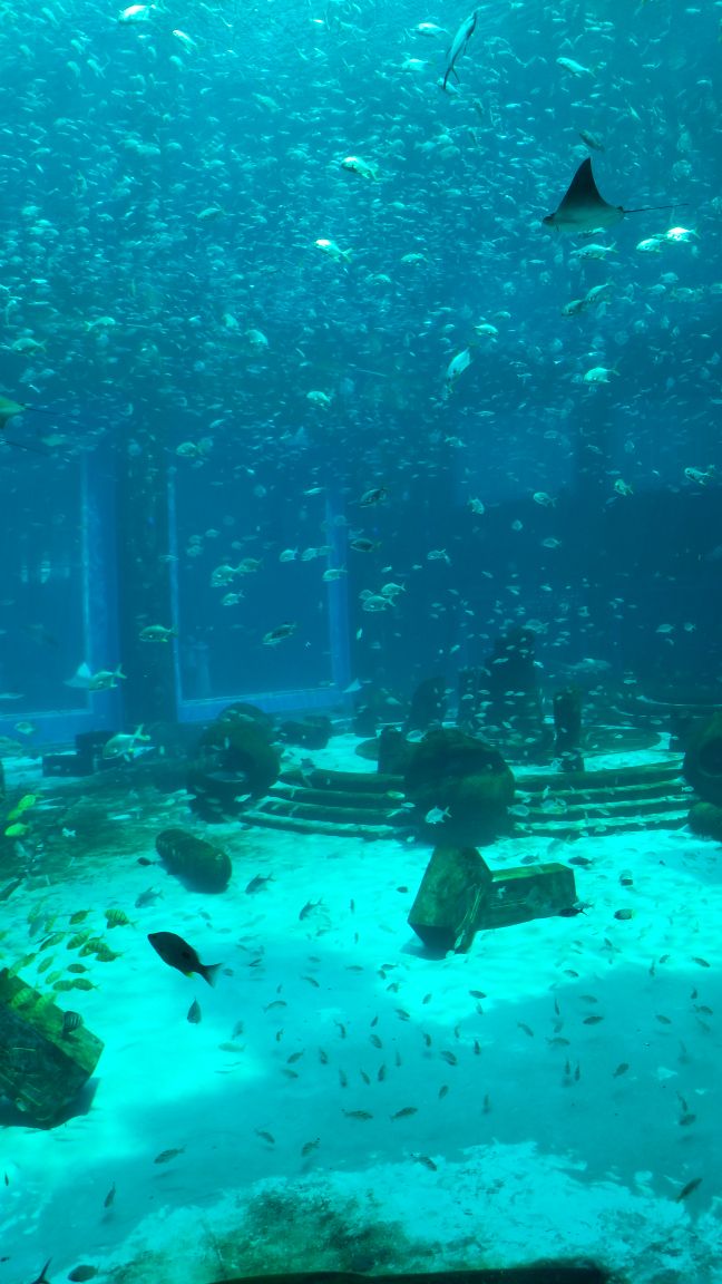 亚特兰蒂斯失落的空间水族馆