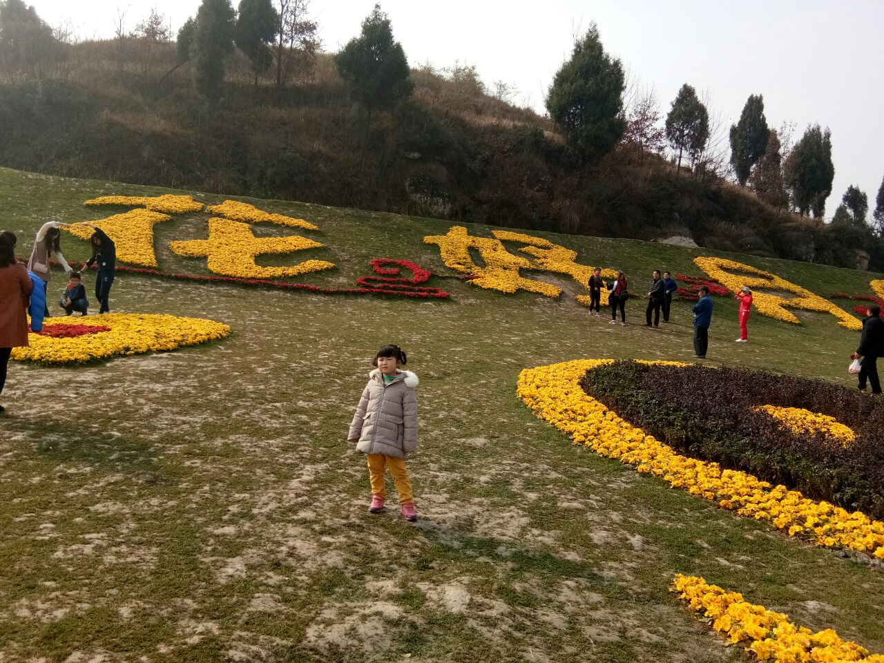 2019七坪寨_旅游攻略_门票_地址_游记点评,南充旅游景点推荐 - 去哪儿