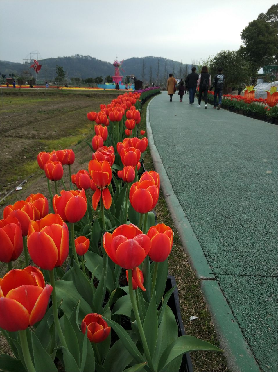 【携程攻略】义乌马畈农业奇幻乐园景点,整体不错吧!花都开了一些.