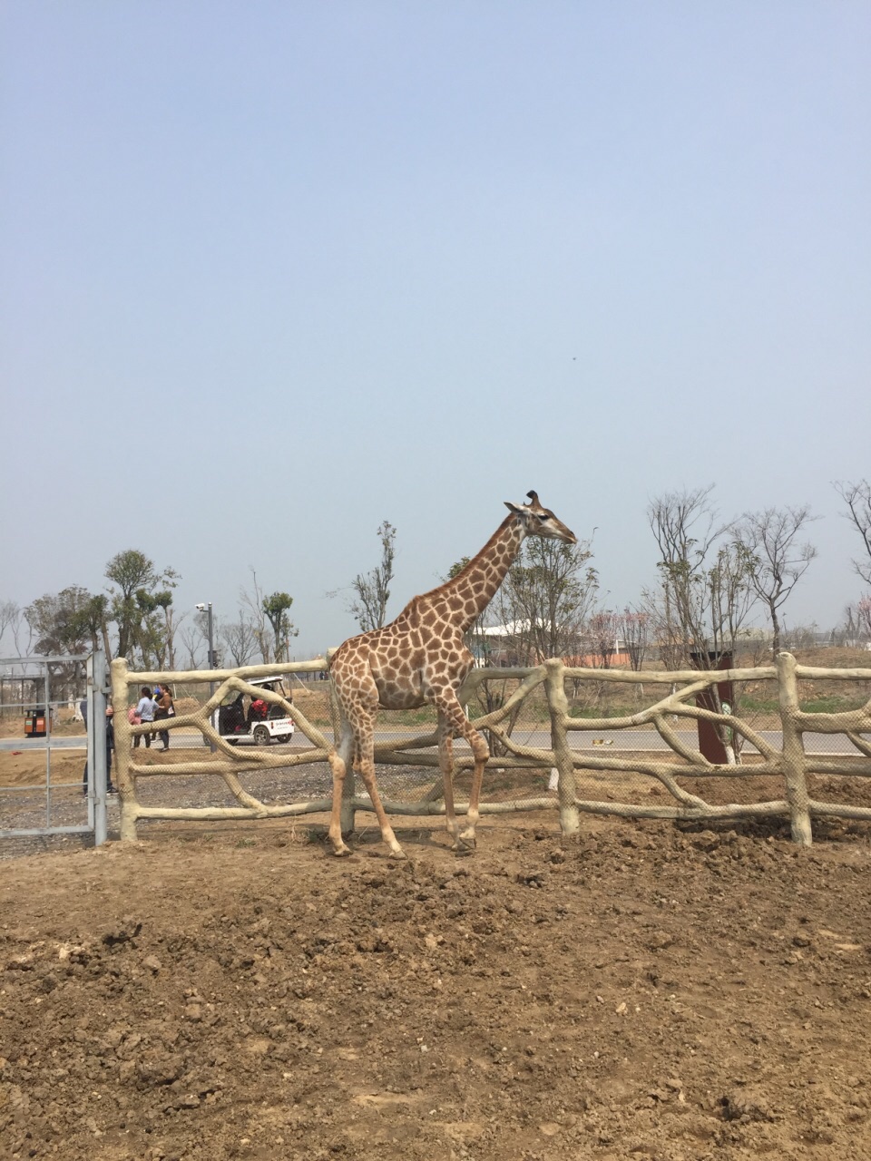 宿州野生动物园