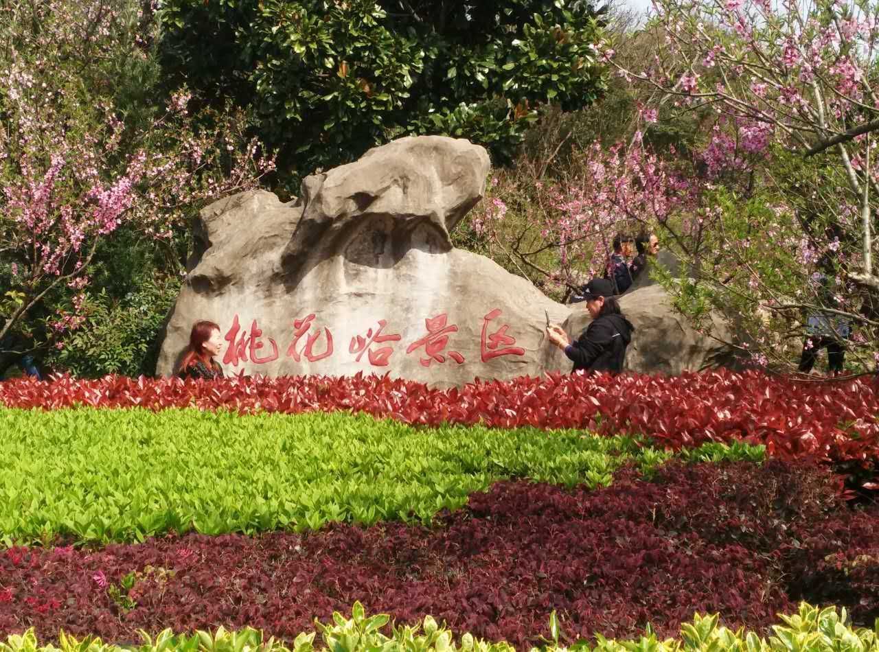 桃花峪景区