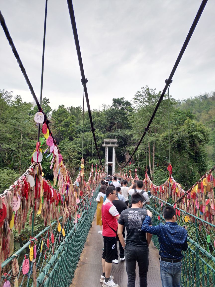 西双版纳原始森林公园旅游景点攻略图
