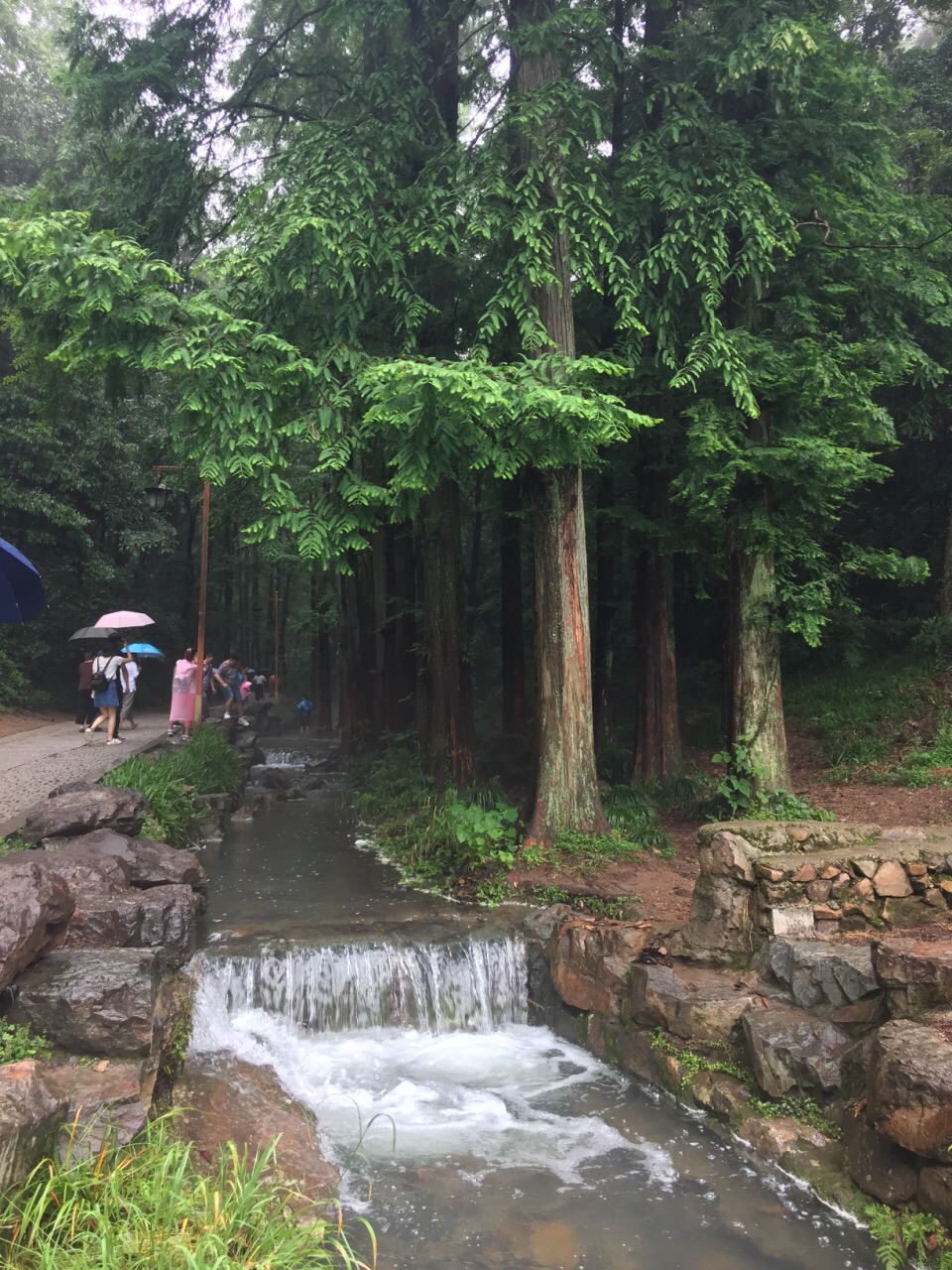 九溪烟树旅游景点攻略图