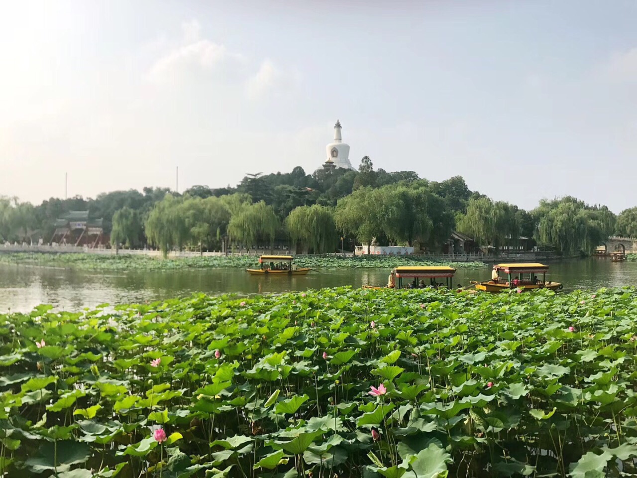 北海公园旅游景点攻略图