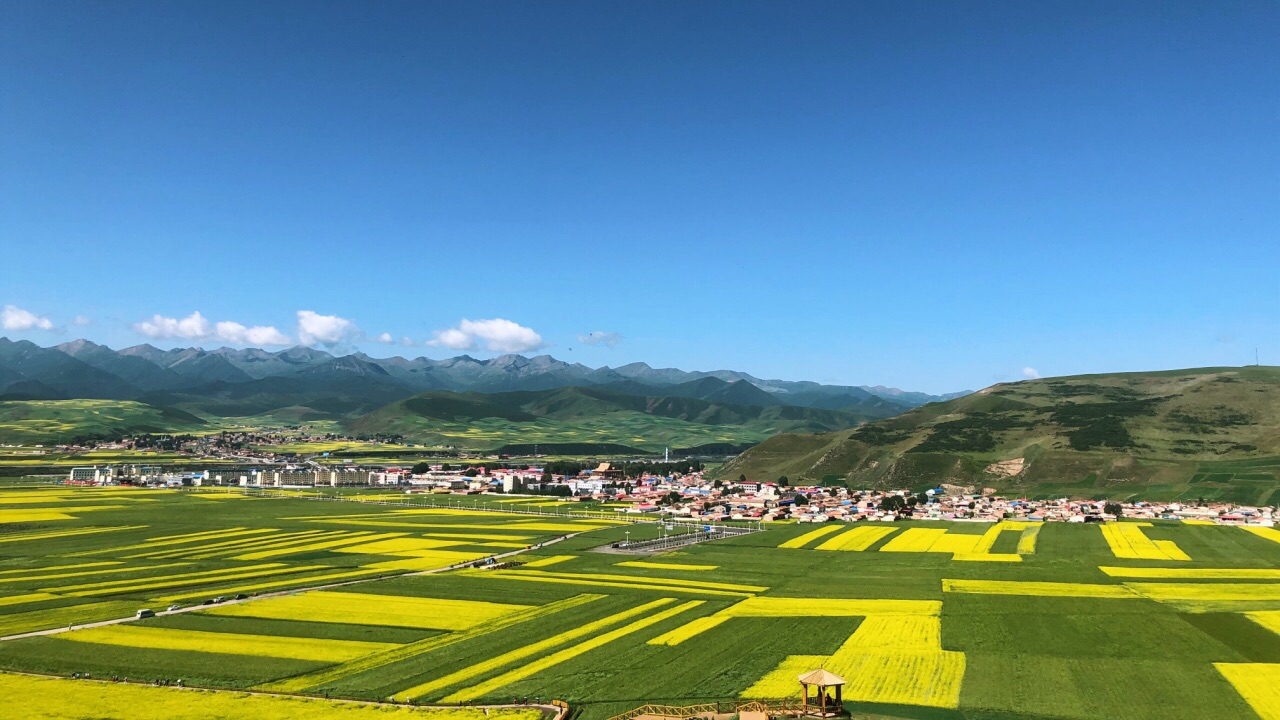 门源油菜花旅游景点攻略图