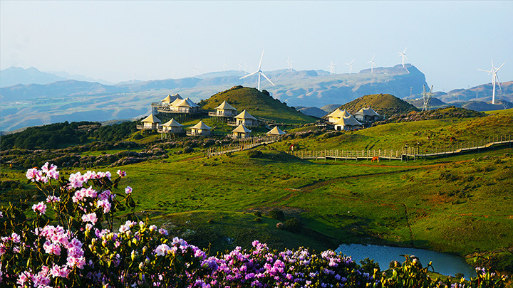 贵州清凉之旅,在乌蒙大草原,大洞竹海过上向往的生活