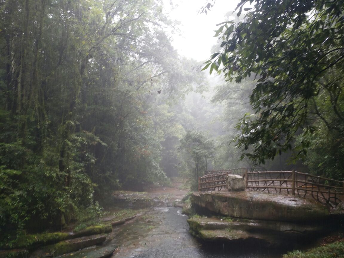 雅安碧峰峡好玩吗,雅安碧峰峡景点怎么样_点评_评价