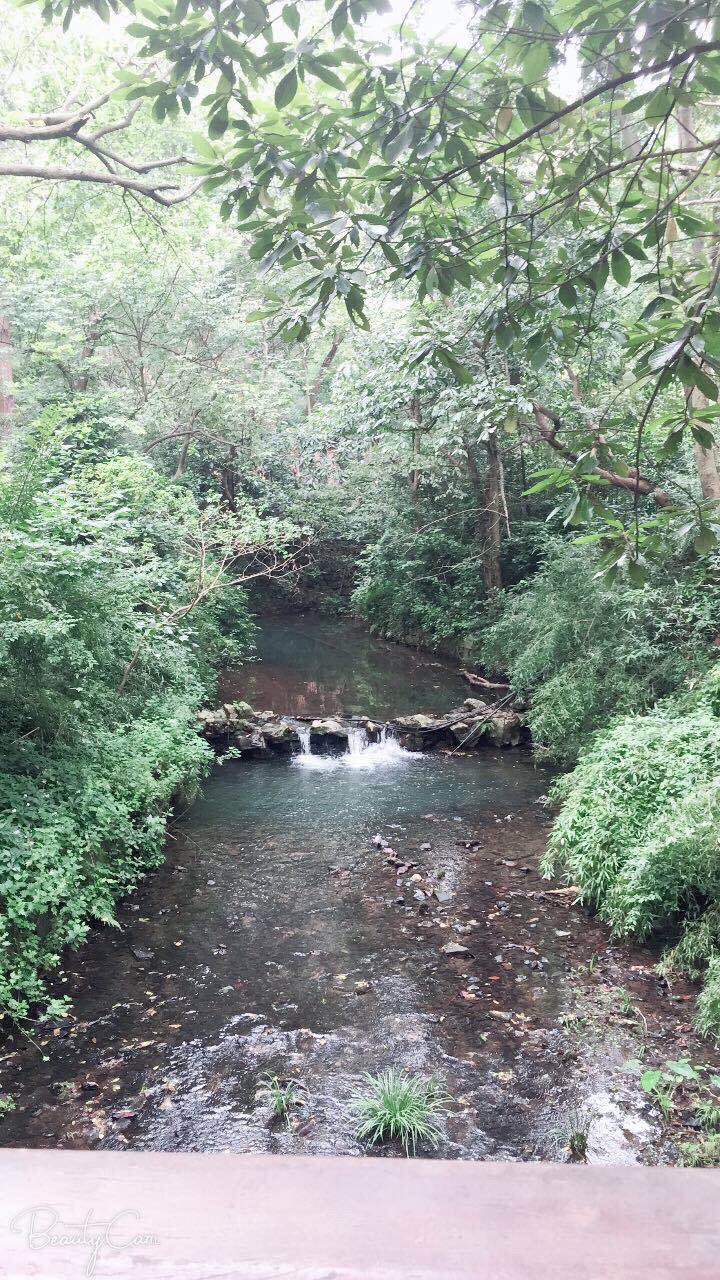 杭州灵隐(飞来峰)景区旅游景点攻选股略图绝密超级全攻略图片
