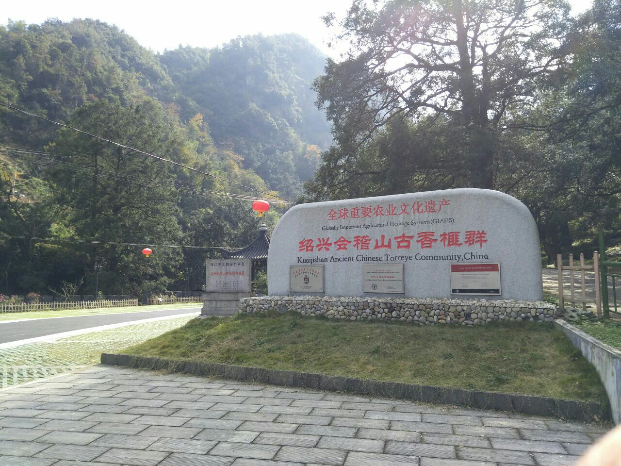 千年香榧林景区