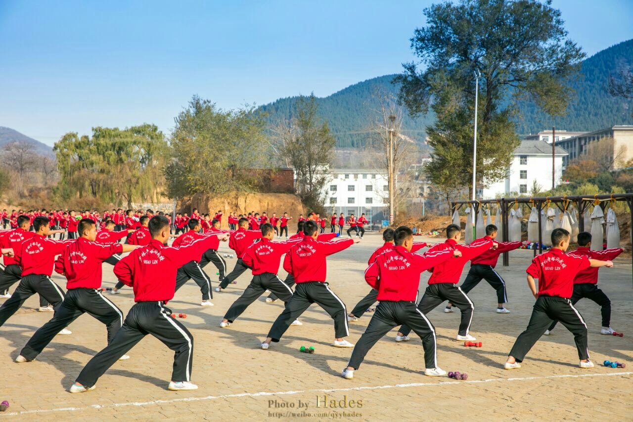 少林寺塔沟武术学校