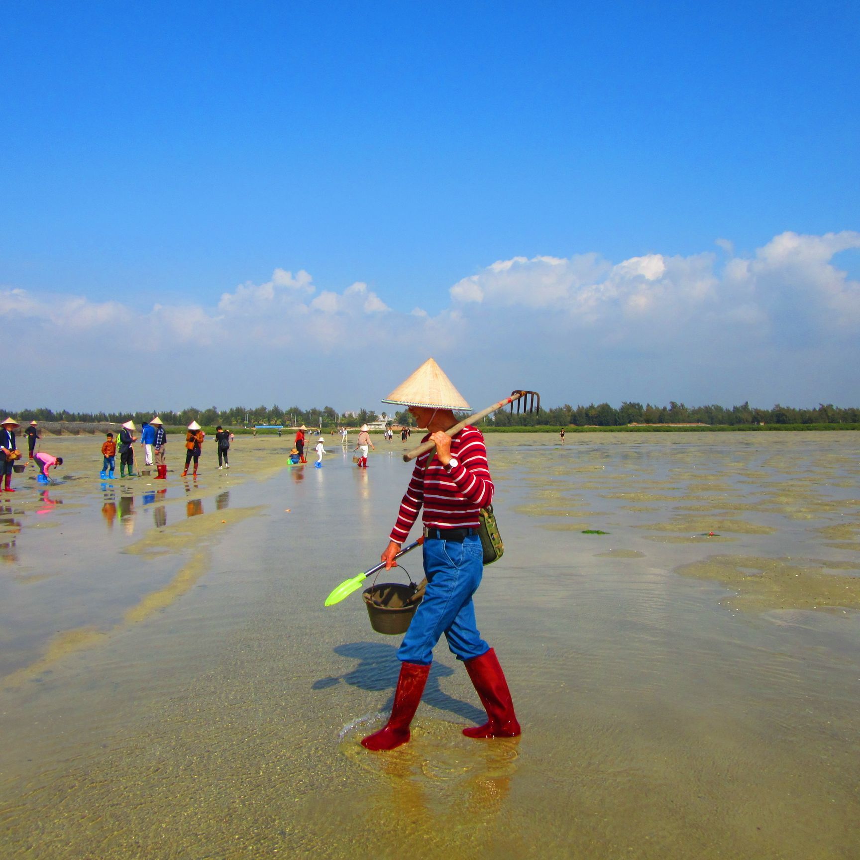 北海红树林天天赶海景点怎么样_点评_评价【携程攻略】