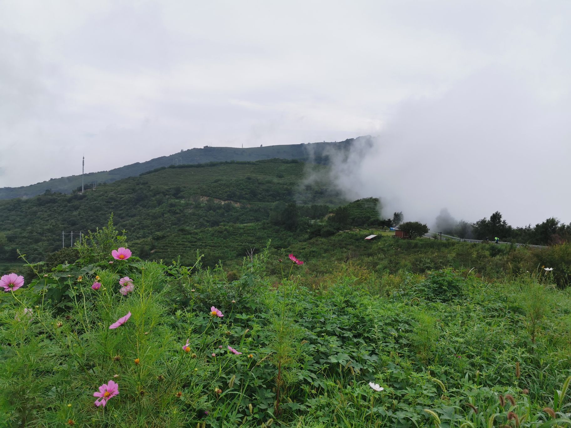 阳台山自然风景区旅游景点攻略图