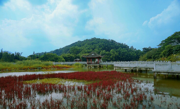 东莞水濂山森林公园攻略,东莞水濂山森林公园门票