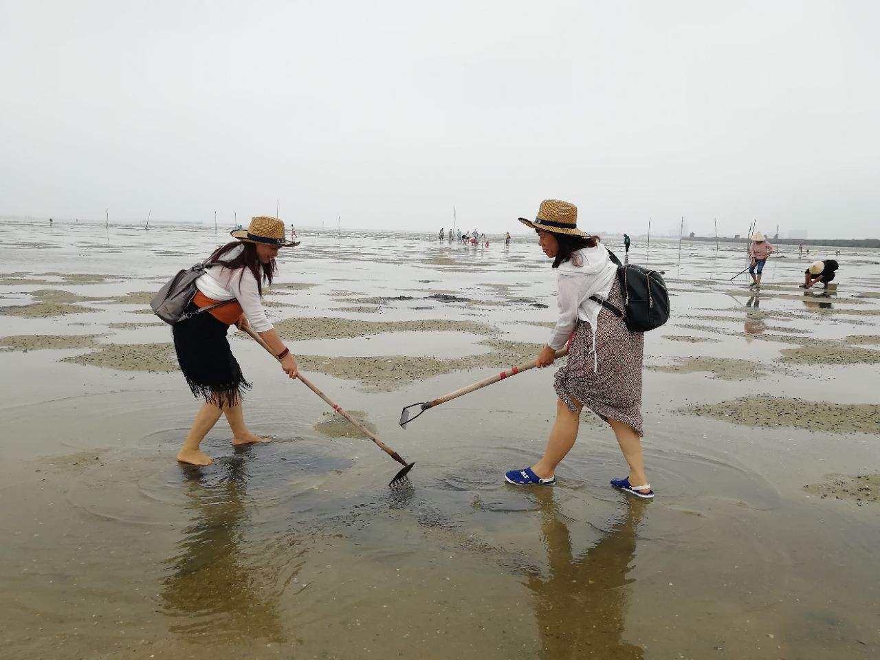 红树林天天赶海旅游景点攻略图